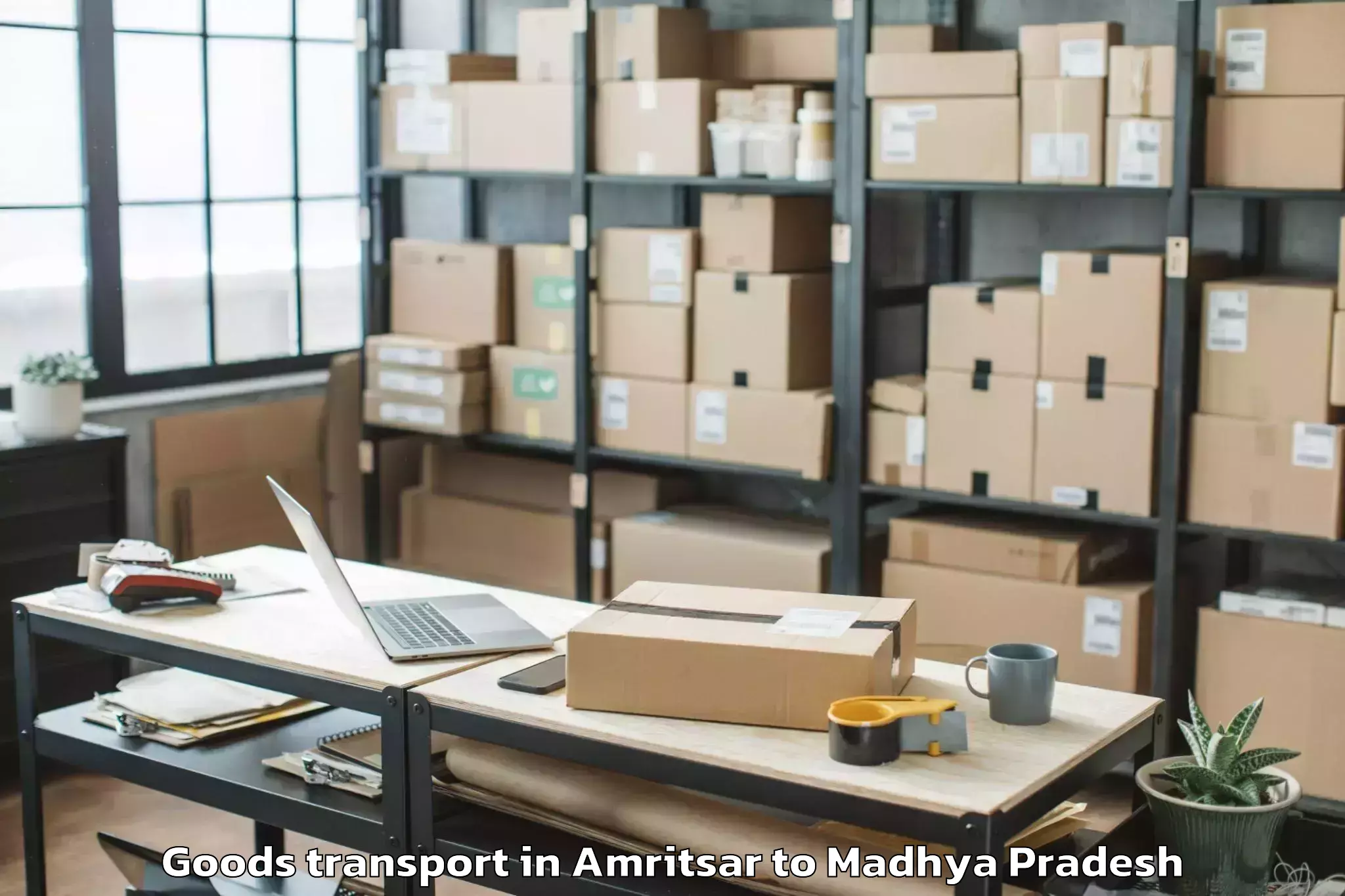 Hassle-Free Amritsar to Maharajpur Goods Transport